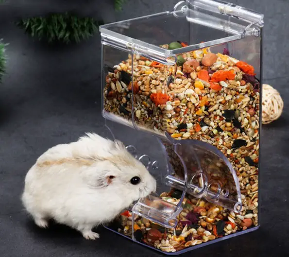 Can Gerbils Eat Hamster Food